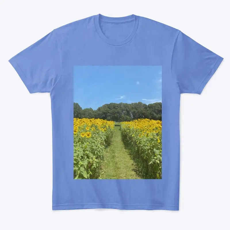 Sunflower Fields 