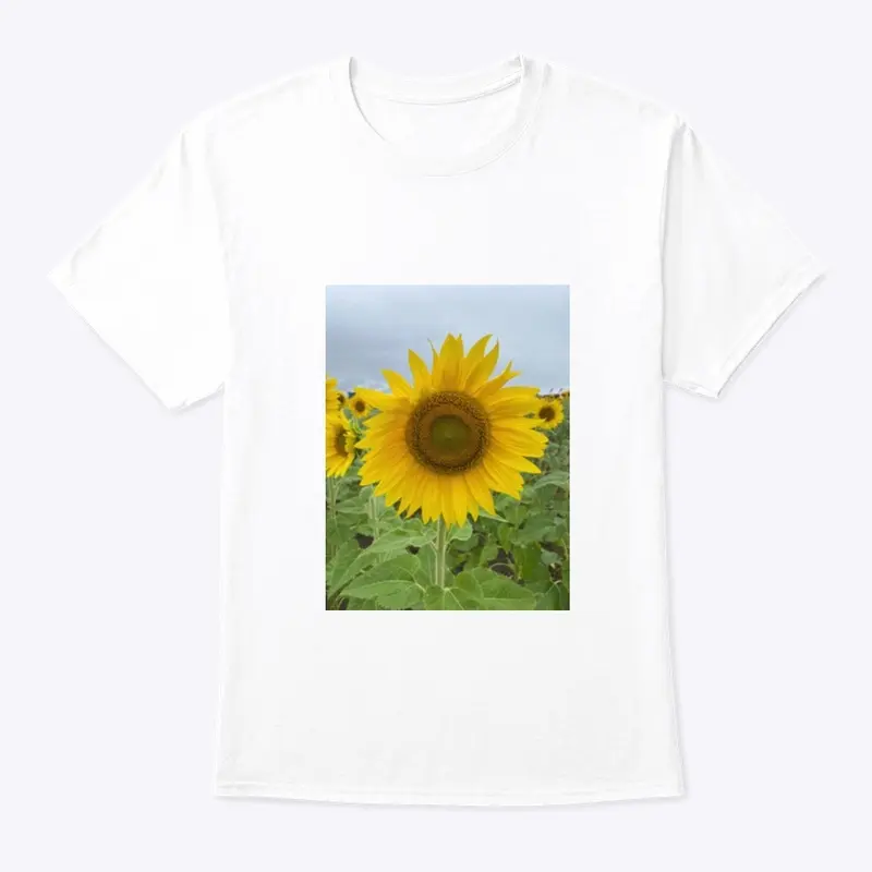 The Sunflower Collective 